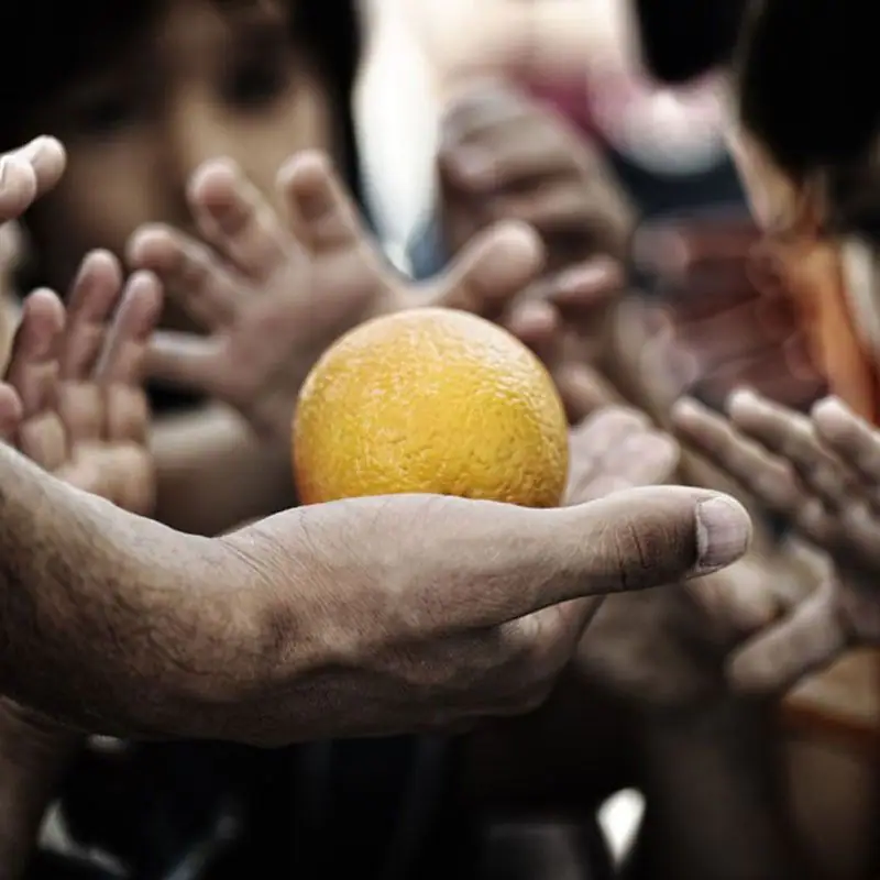 An open hand holding an orange
